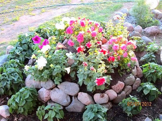 Клумба из камней фото