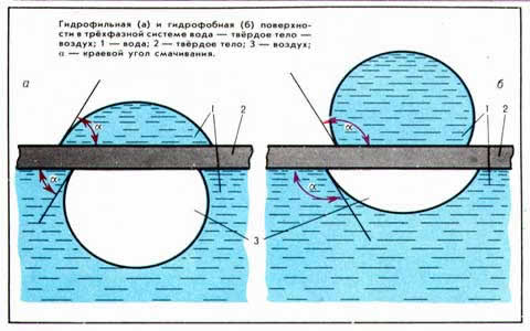 процес гидрофобизация